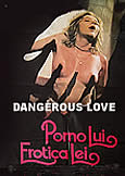 DANGEROUS LOVE (1982) Karin Well Sex Scorcher