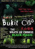 Wrath of Chinese Black Magic (2014) Malaysian Horror